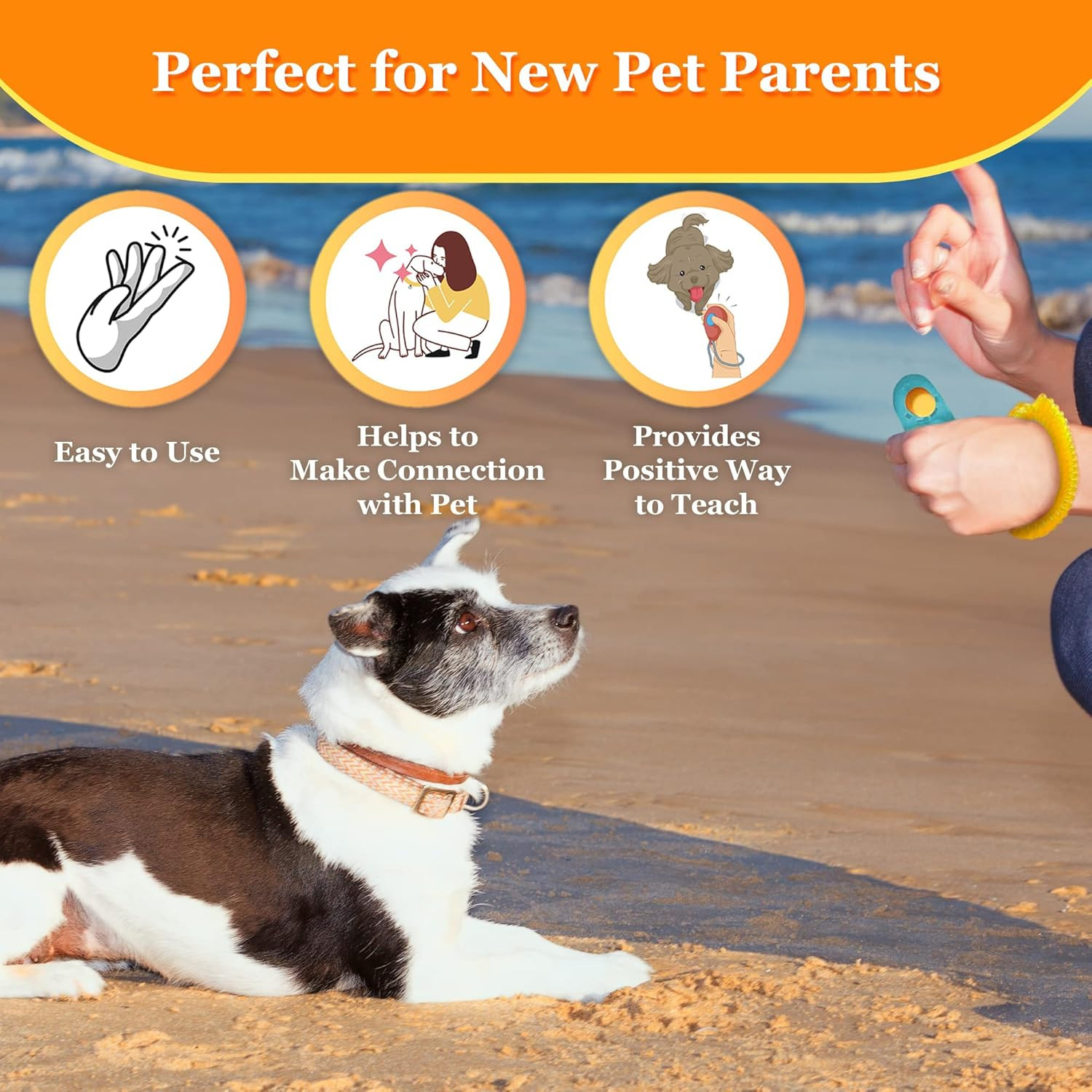 2 Pack Dog Clicker for Training with Wrist Bands 2 Inches Multicolor Pet Cat D