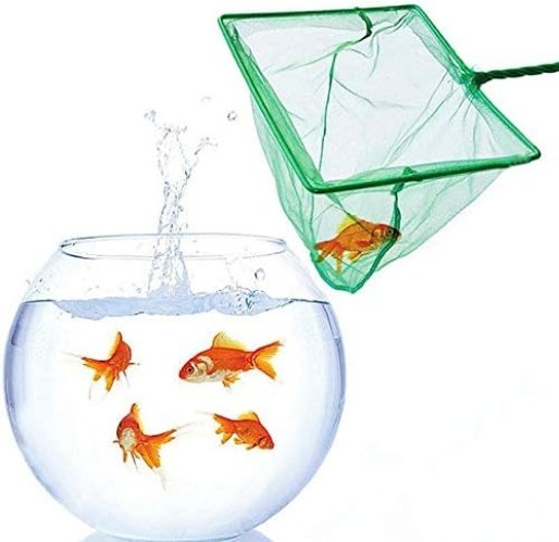 Versatile 2 Count Small Mesh Fish Catch Nets – Perfect for All Aquatic Pets