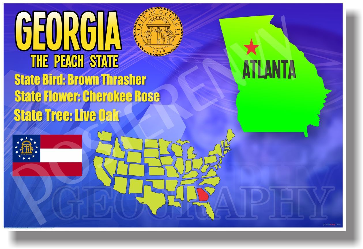 Georgia Geography - NEW U.S State Travel POSTER