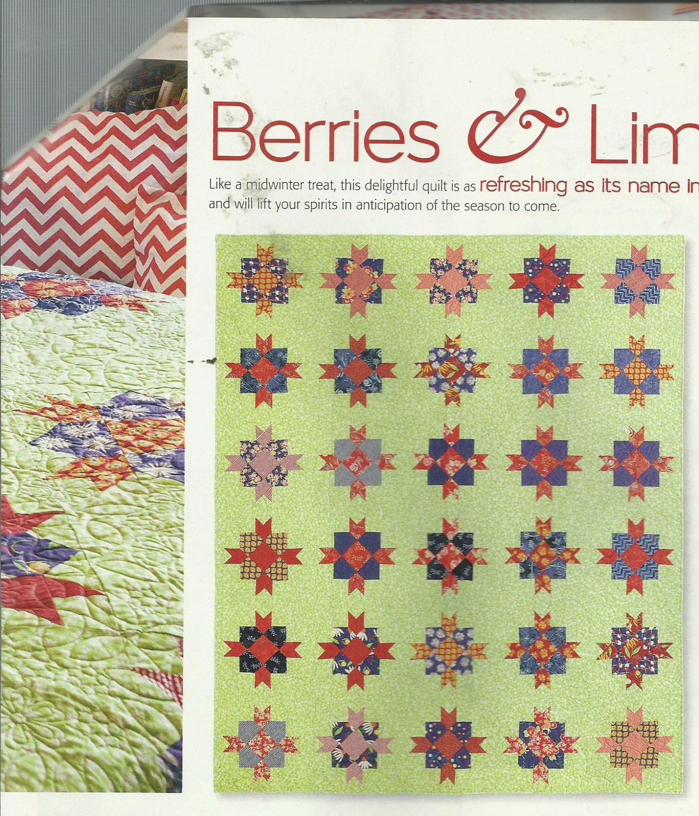 E0772 BERRIES & LIME QUILT PATTERN/INSTRUCTIONS