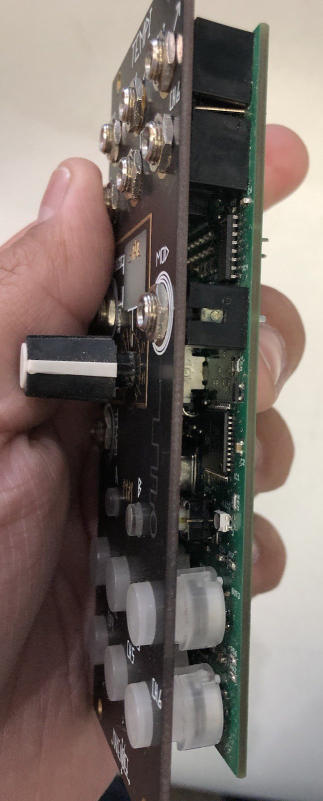 Make Noise TEMPI Polyphonic Time-shifting Eurorack Module