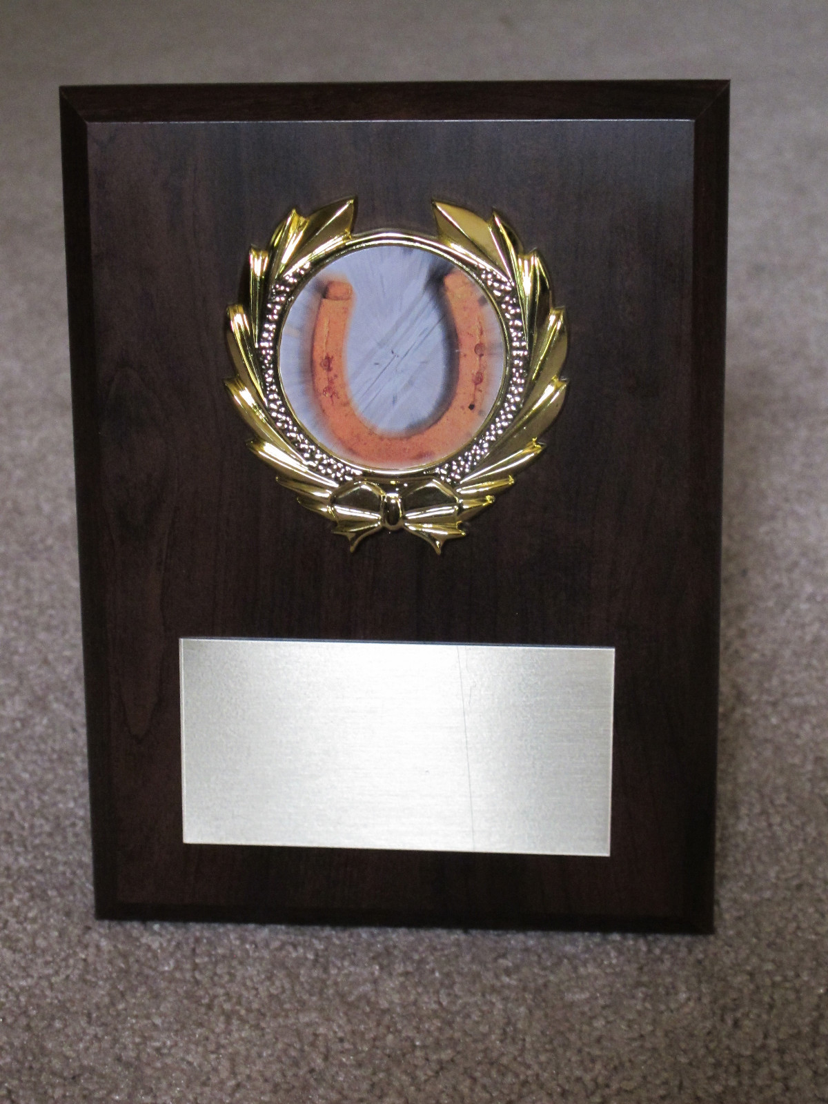 Horseshoes Or SPORT, Award Plaque 6x8 Trophy FREE custom engraving