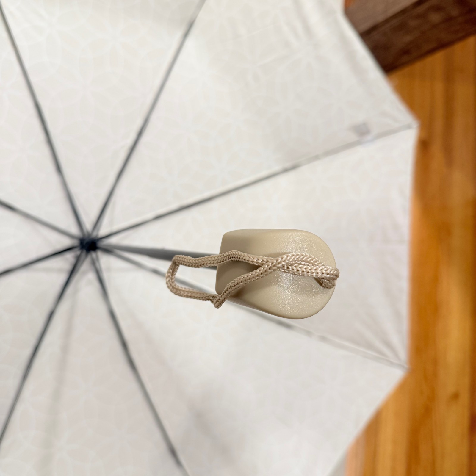 NWT DSW Umbrella
