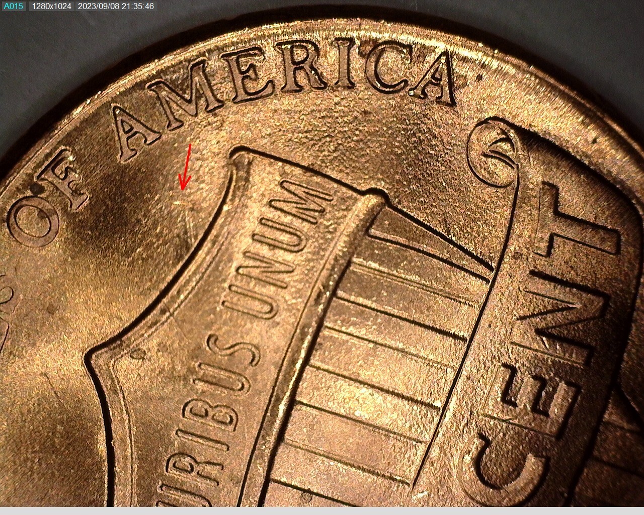 2019P Lincoln Shield Cent with Spikes on the Shield on Reverse!  Free Ship. P76