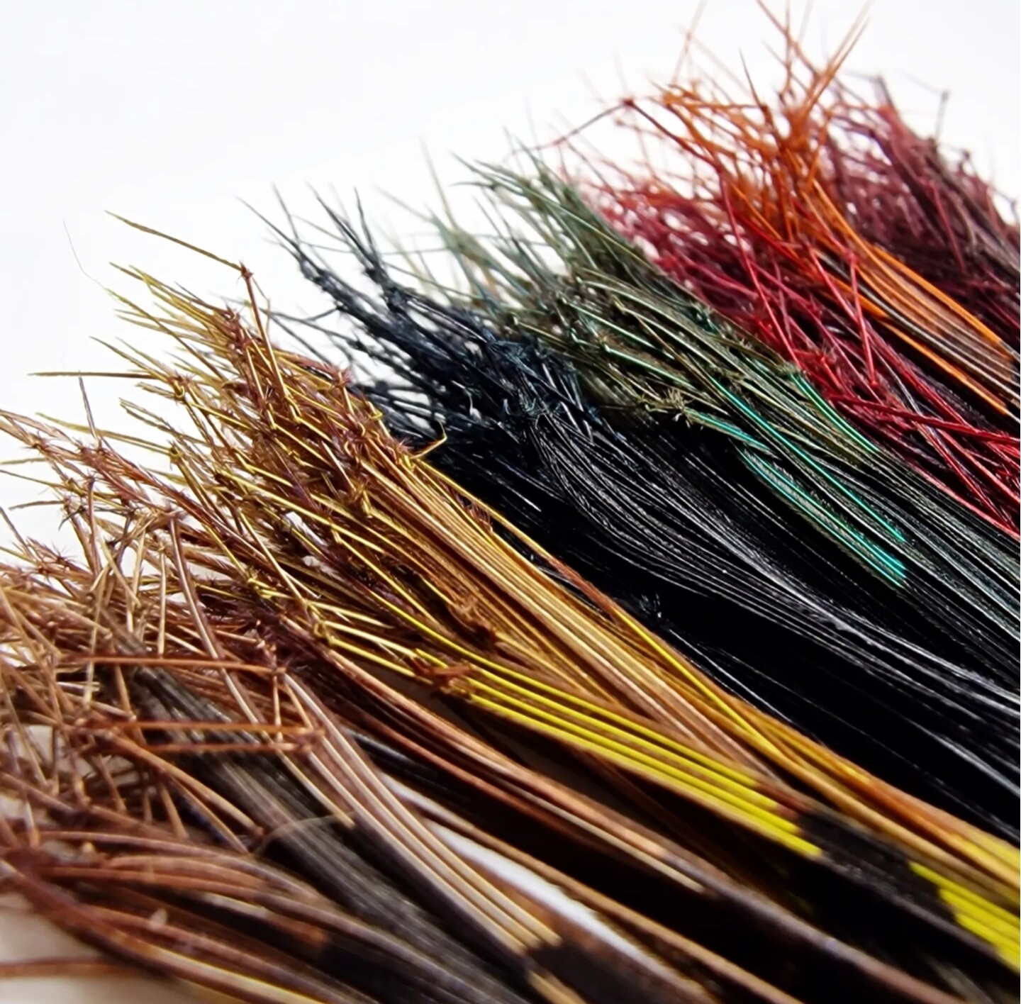 Knotted Pheasant Tail Legs - Choose Colour - Fly Tying material - Daddy Hoppers