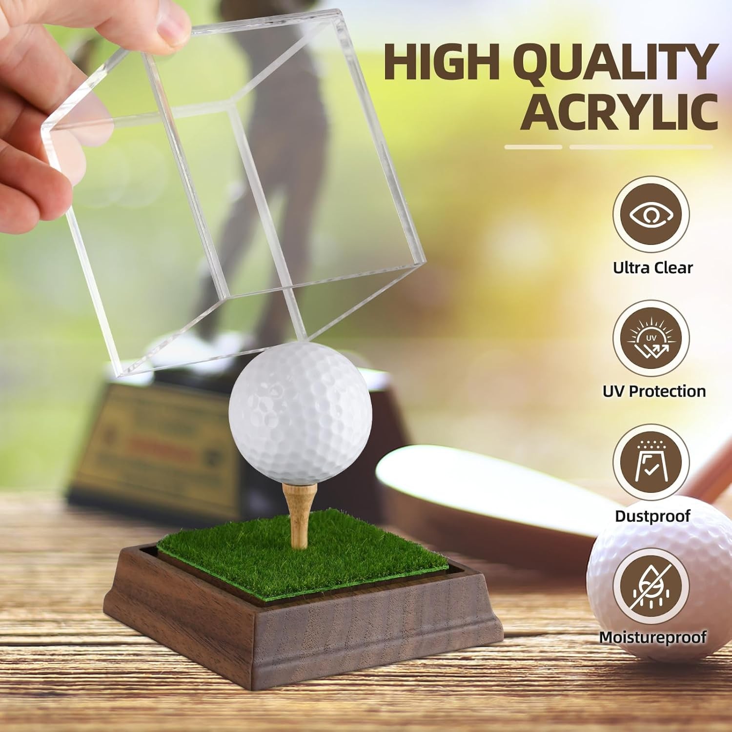 Golf Ball Display Case Hole in One Holder Wanult Clear