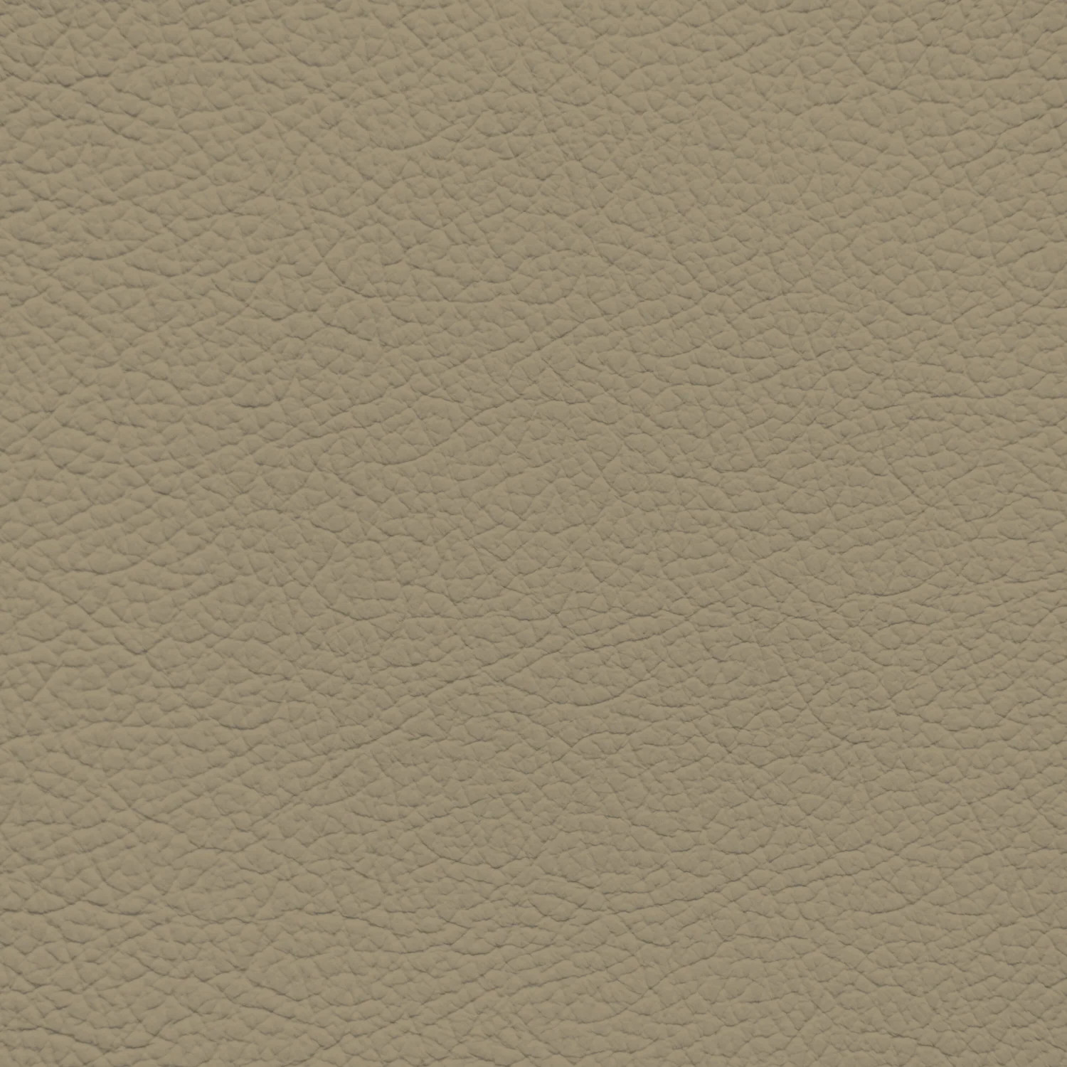 Jaguar Almond Leather Dye