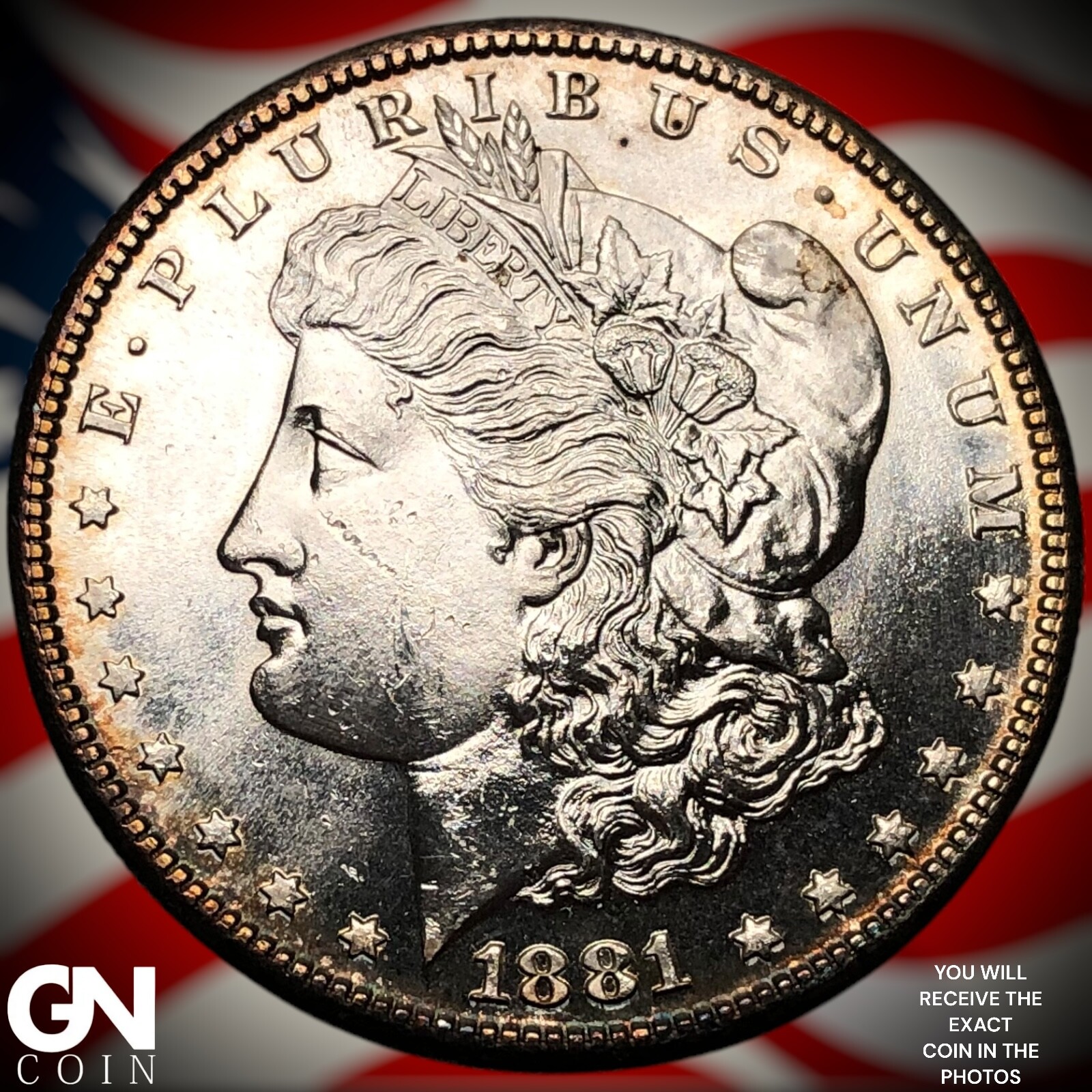 1881 S Morgan Dollar Y8506