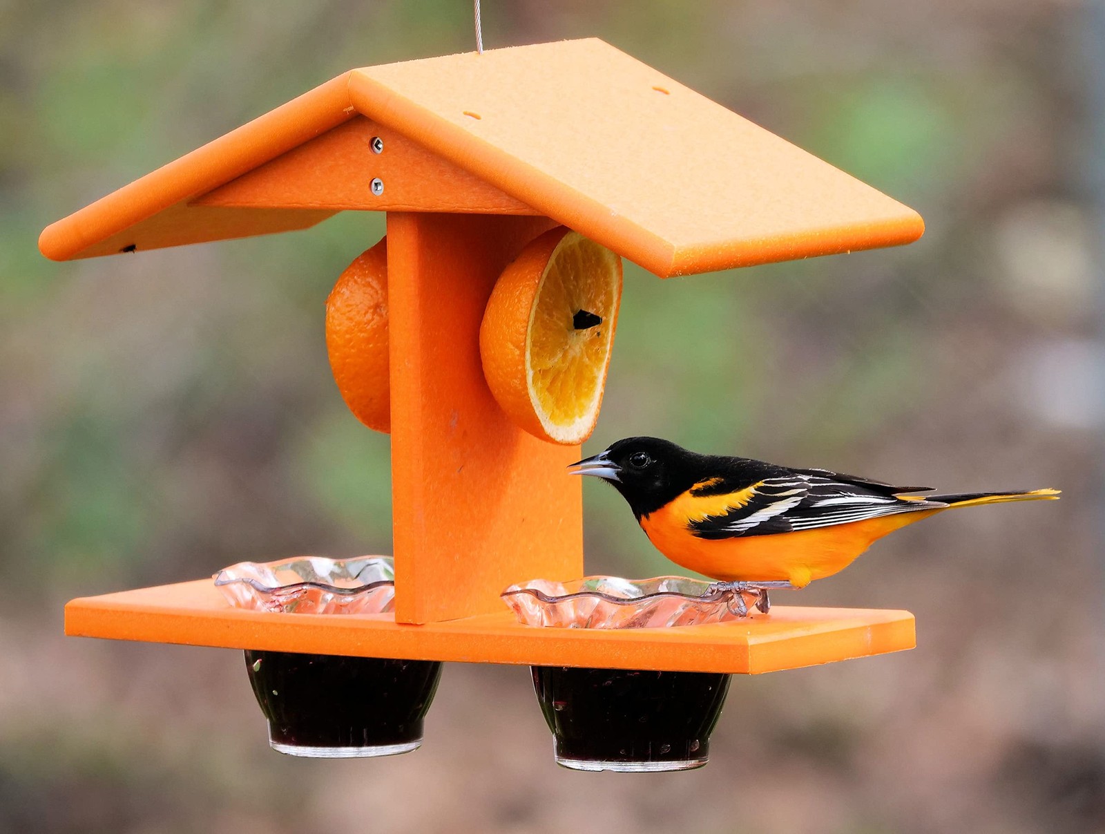 AmishToyBox.com Oriole Bird Feeder, Double-Cup Jelly Feeder Orange
