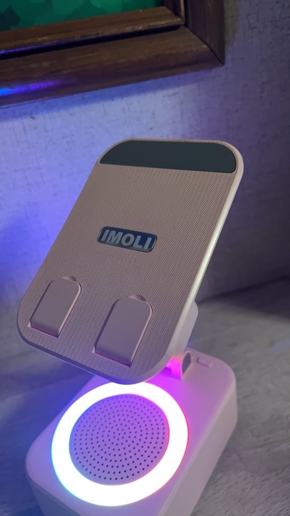 IMOLI Adjustable LED Speaker Stand