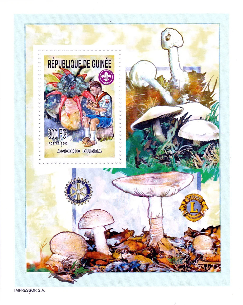 Guinea 2002 Perf. Luxury Stamp Block N° 4023-4025 Boy Scout Mushrooms