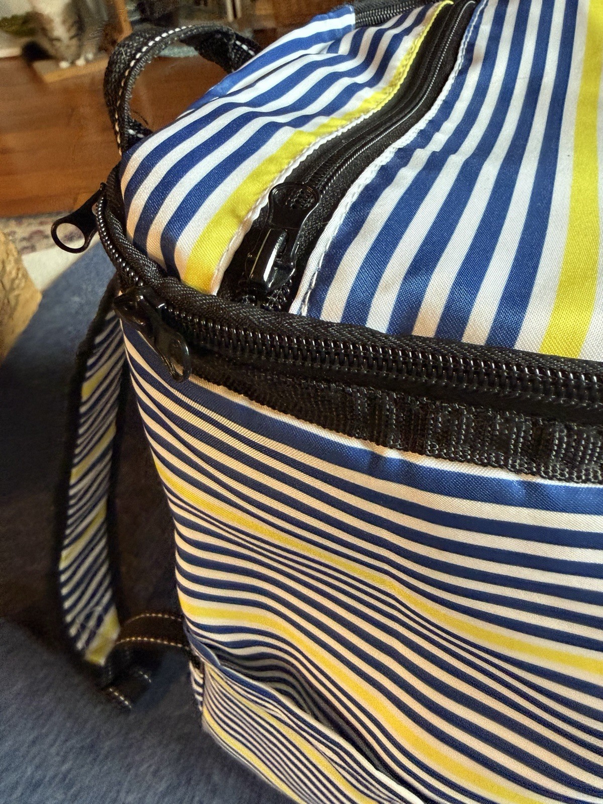 Scout backpack cooler Lightly Insulated lined Beach Pool Trip Hiking Excursions