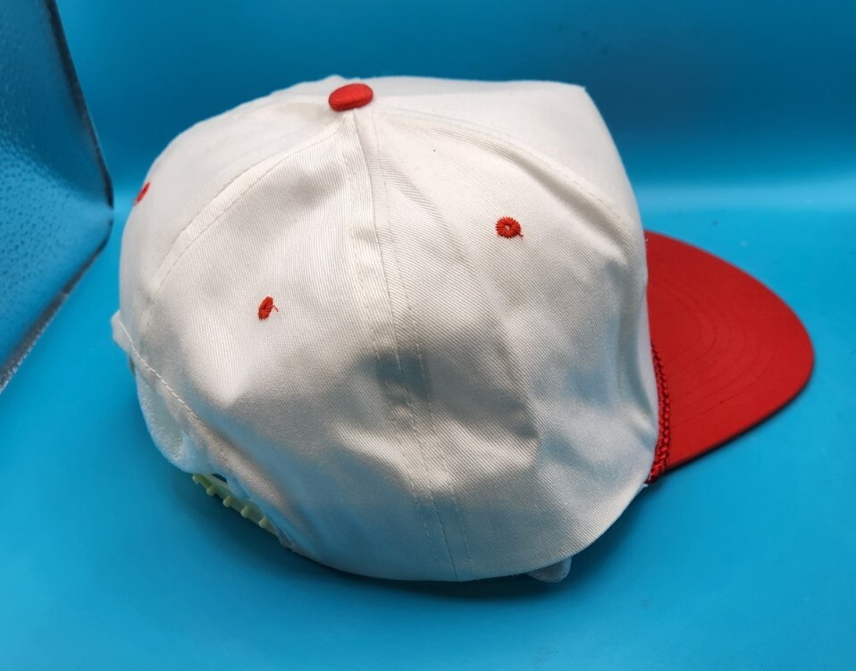 VINTAGE Air Force Association Hat Cap Adjustable Snapback afa