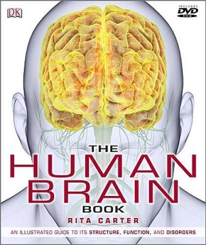 The Human Brain Book - Hardcover By Rita Carter - GOOD