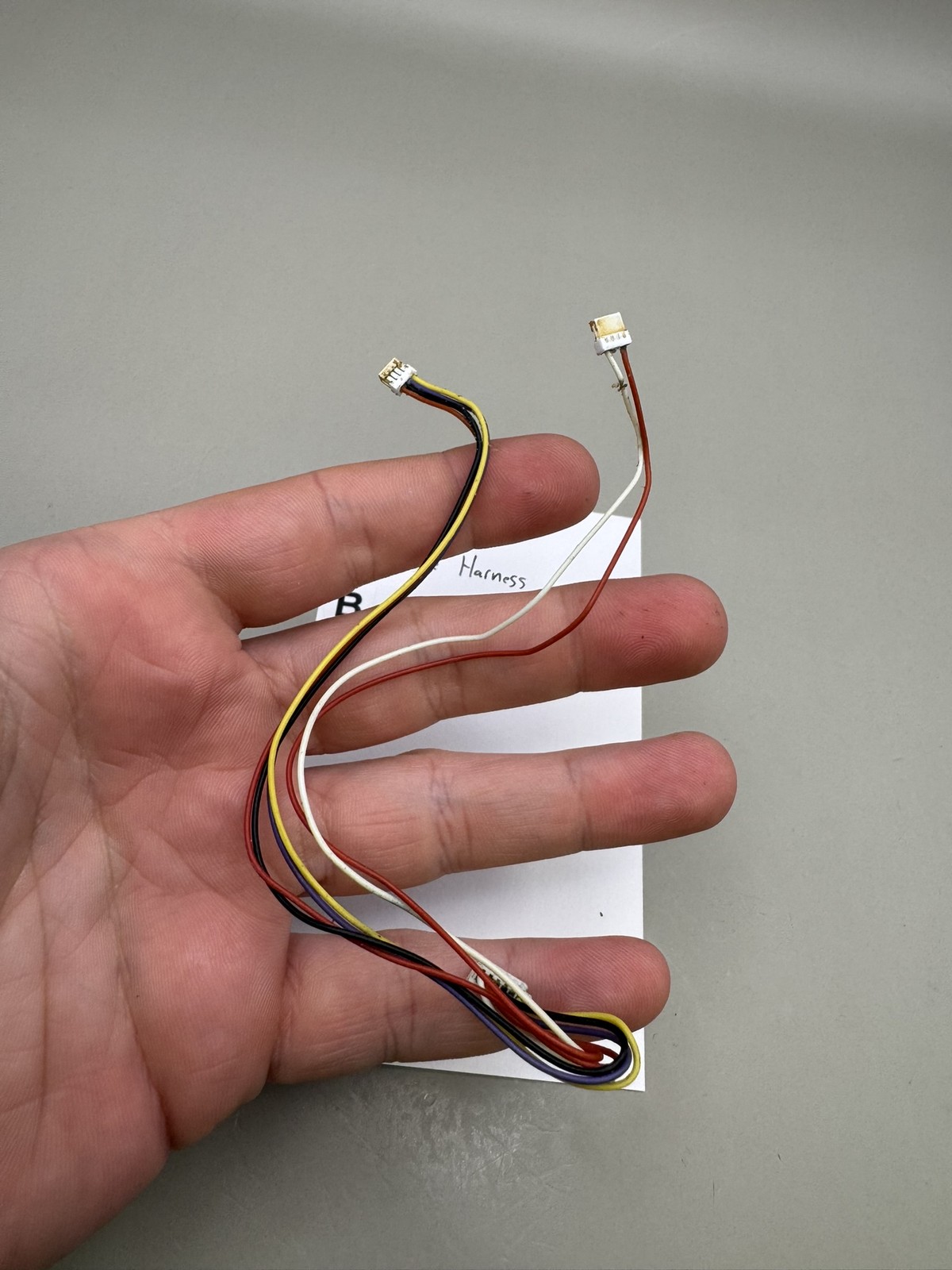 Bob Long G6R Eye Wire Harness
