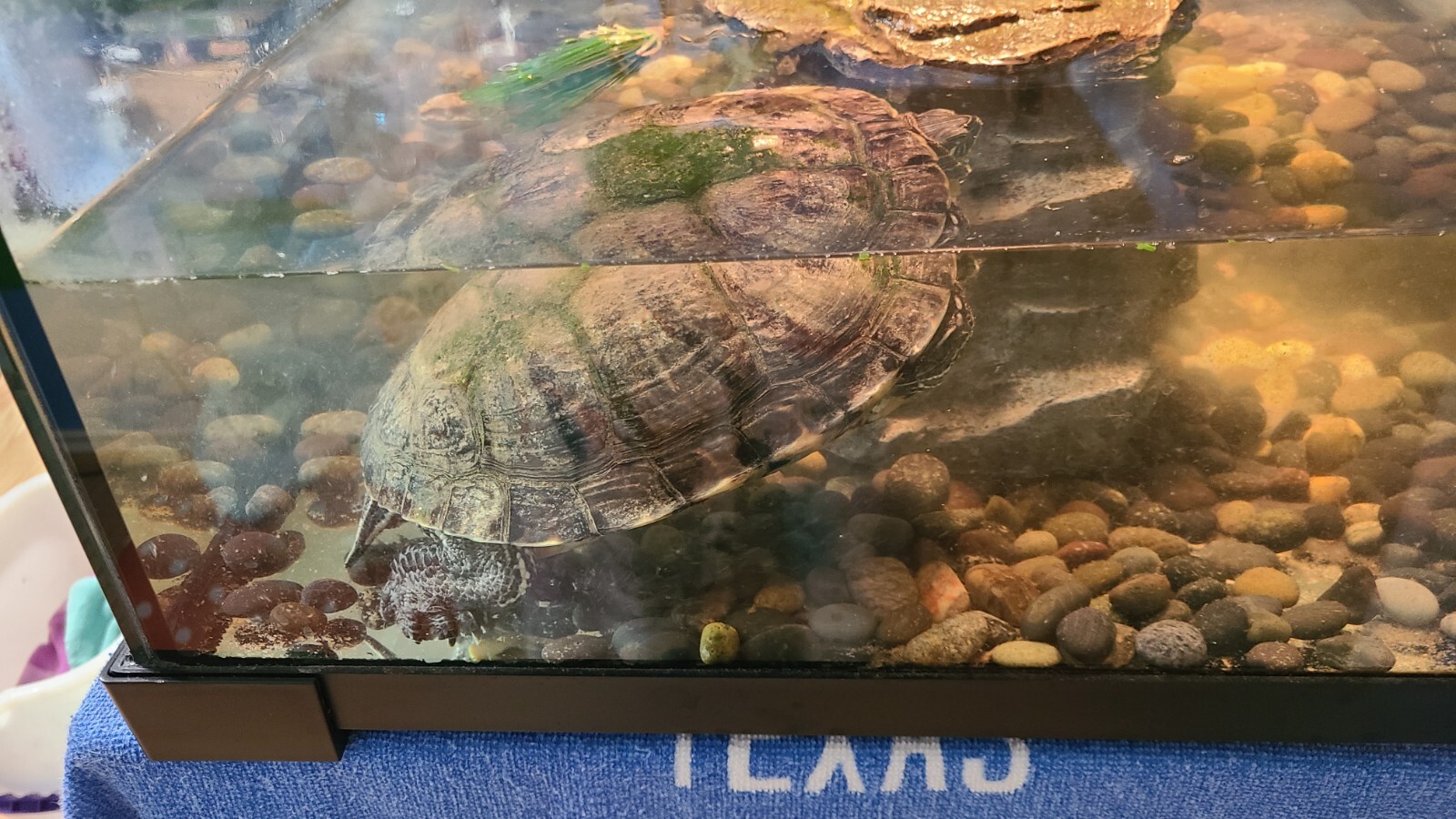 **Sold**