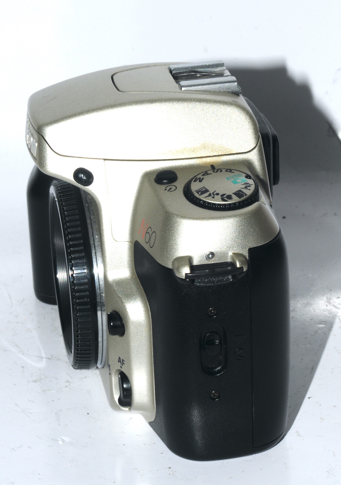 Nikon N60