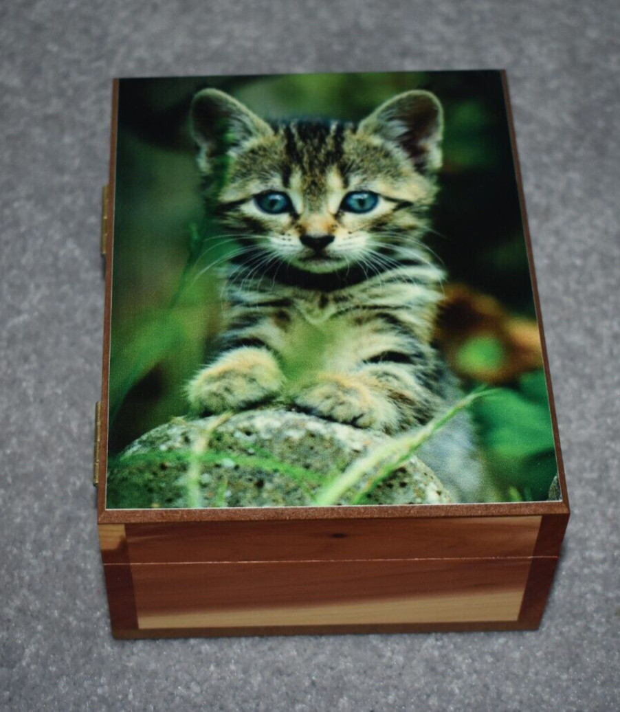 #5075 KITTY KEEPSAKE JEWELRY WOOD CEDAR BOX 4.5" X 6"