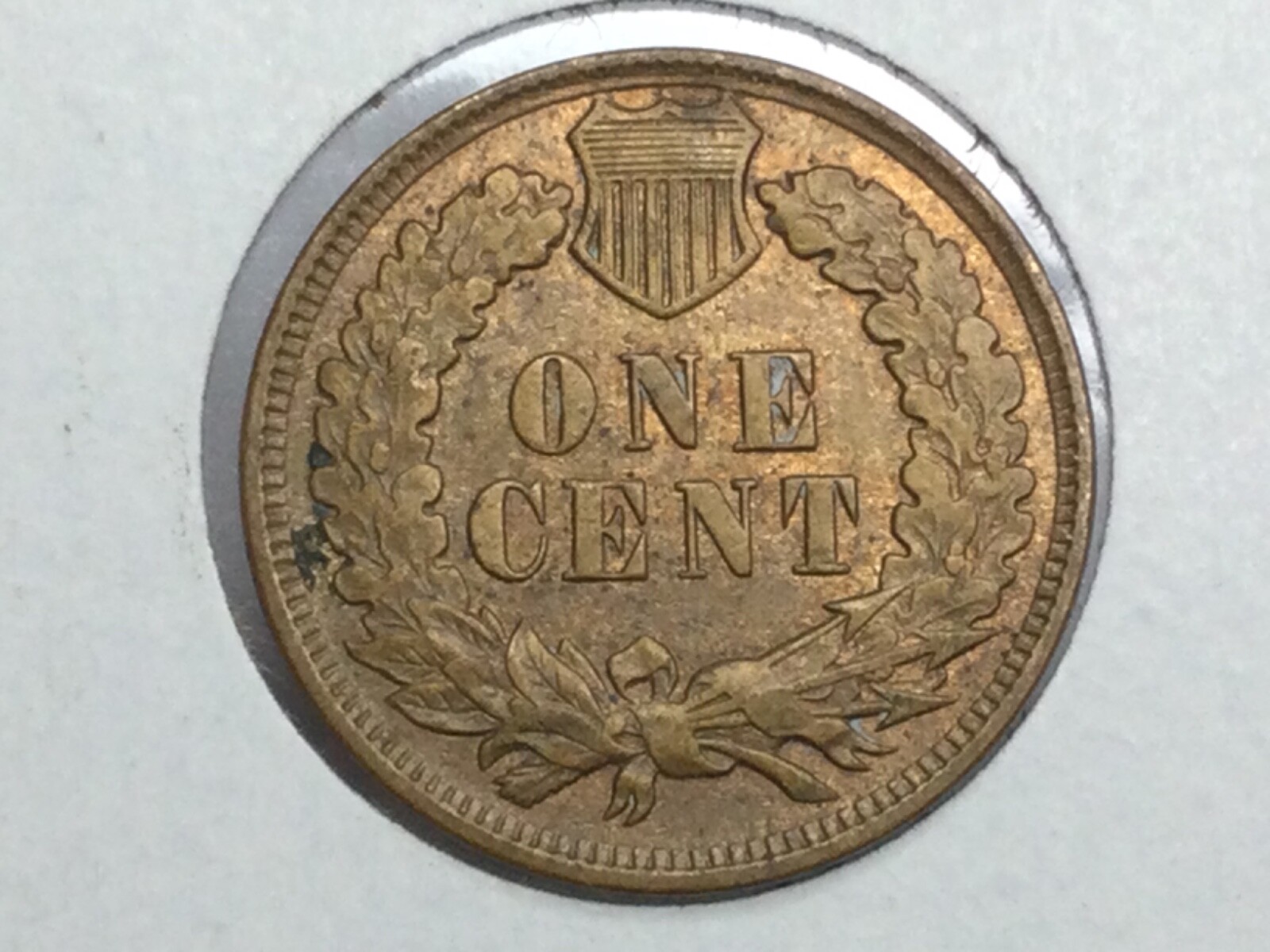 1909 Indian Cent in almost uncirculated