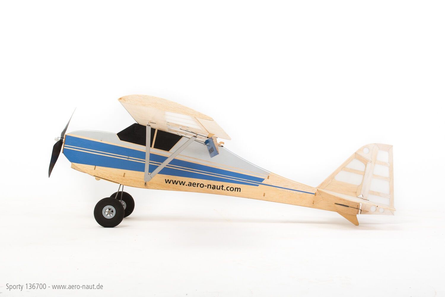 Sporty Remote Controlled Trainer with flaps