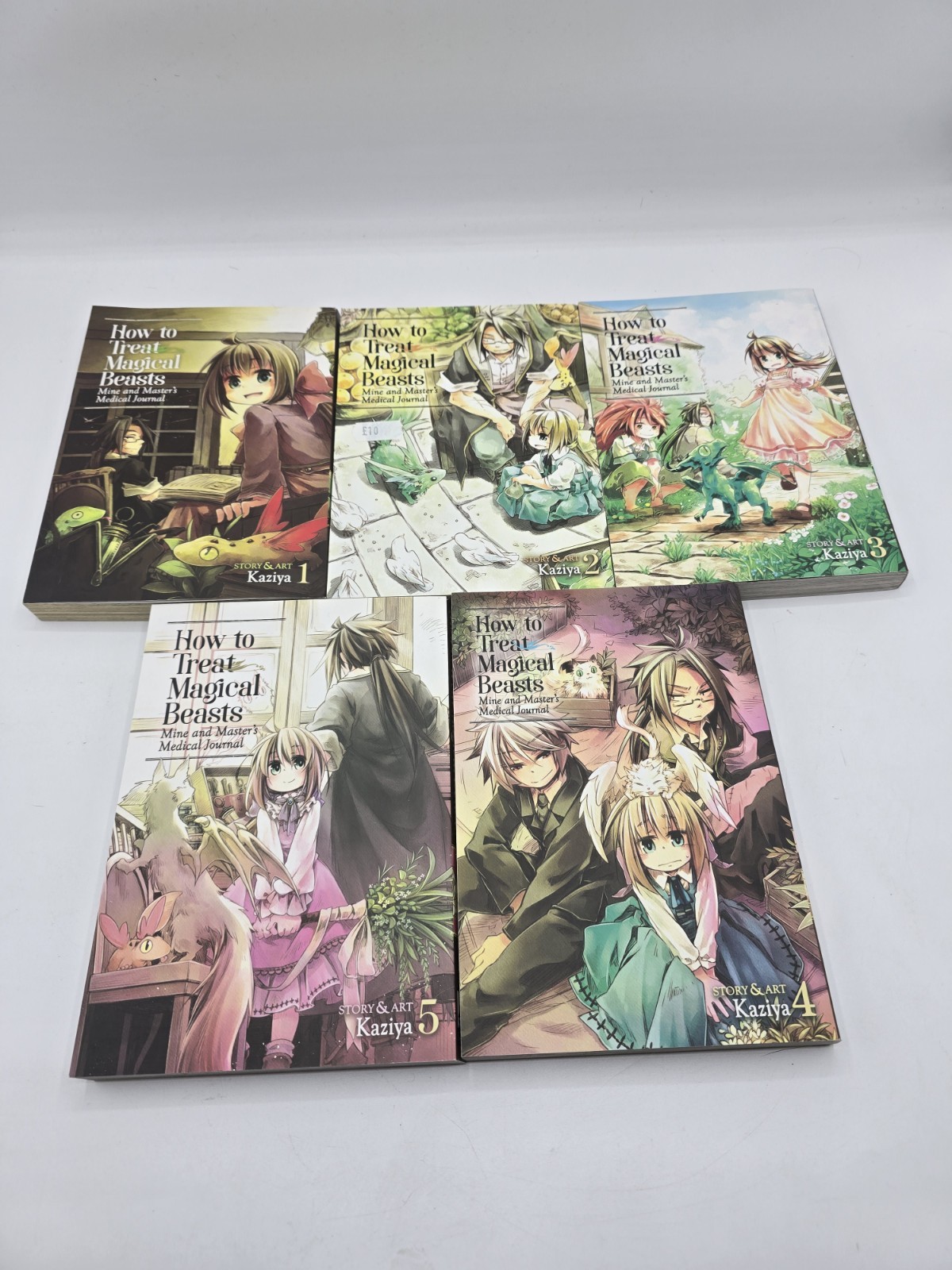 How to Treat Magical Beasts Volumes 1-5 Kaziya - English Manga