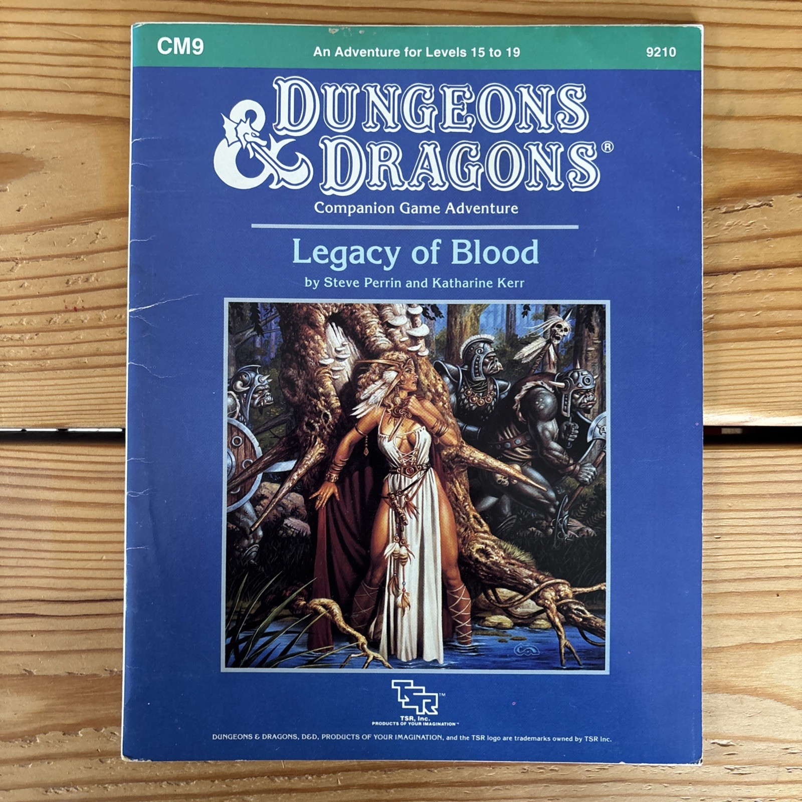 CM9 Legacy Of Blood D&D Module TSR 9210