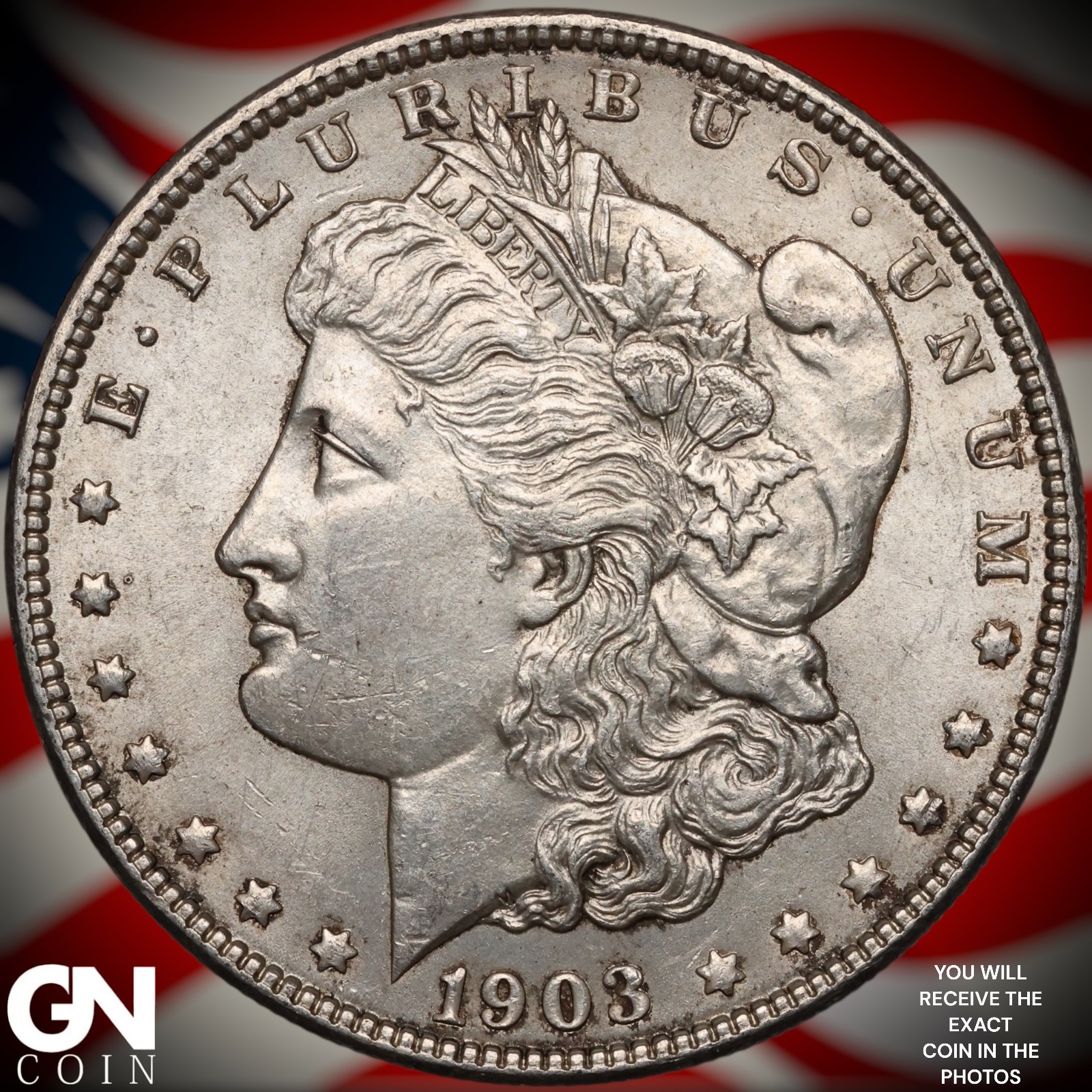 1903 P Morgan Dollar A9854