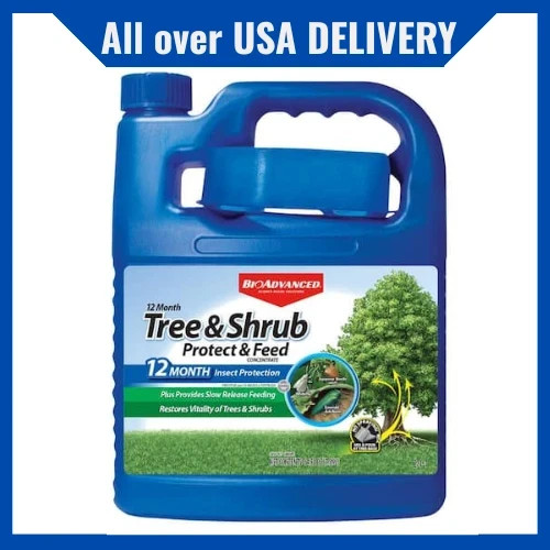 BioAdvanced- 820169K, Concentrate, 64 Oz Tree & Shrub Protect and Feed