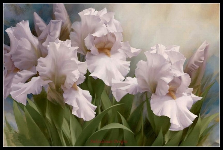 White Iris Elegance II - Chart Counted Cross Stitch Patterns Needlework DIY