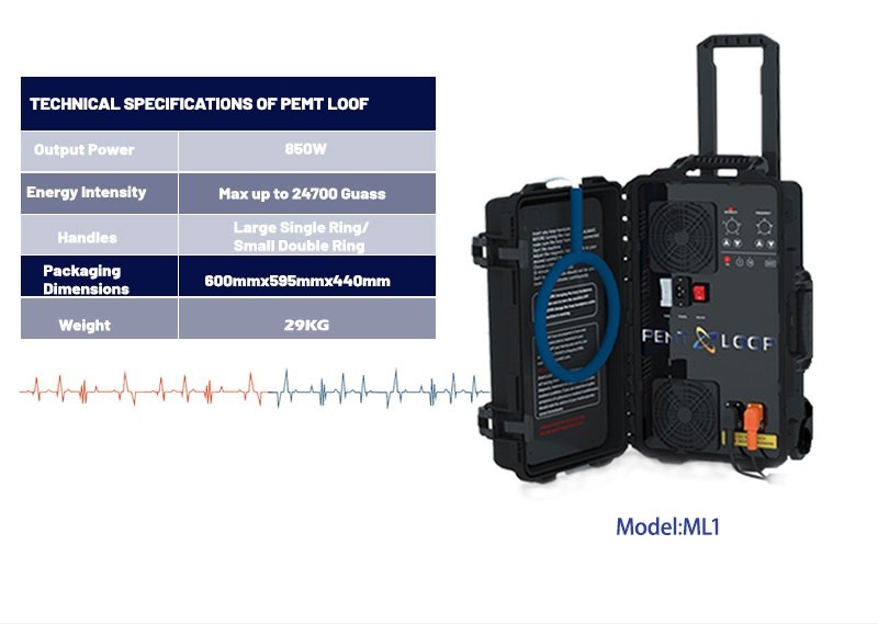 PMST Loop PEMF Pulsed Eletromagnetic Feild Sport Injury Pain Therapy Machine