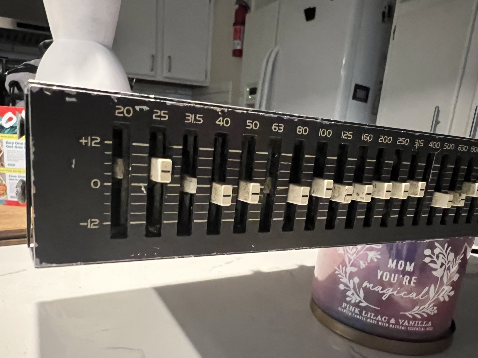Ibanez GE3101 One Third Octave 31 Band Graphic Equalizer  One Channel