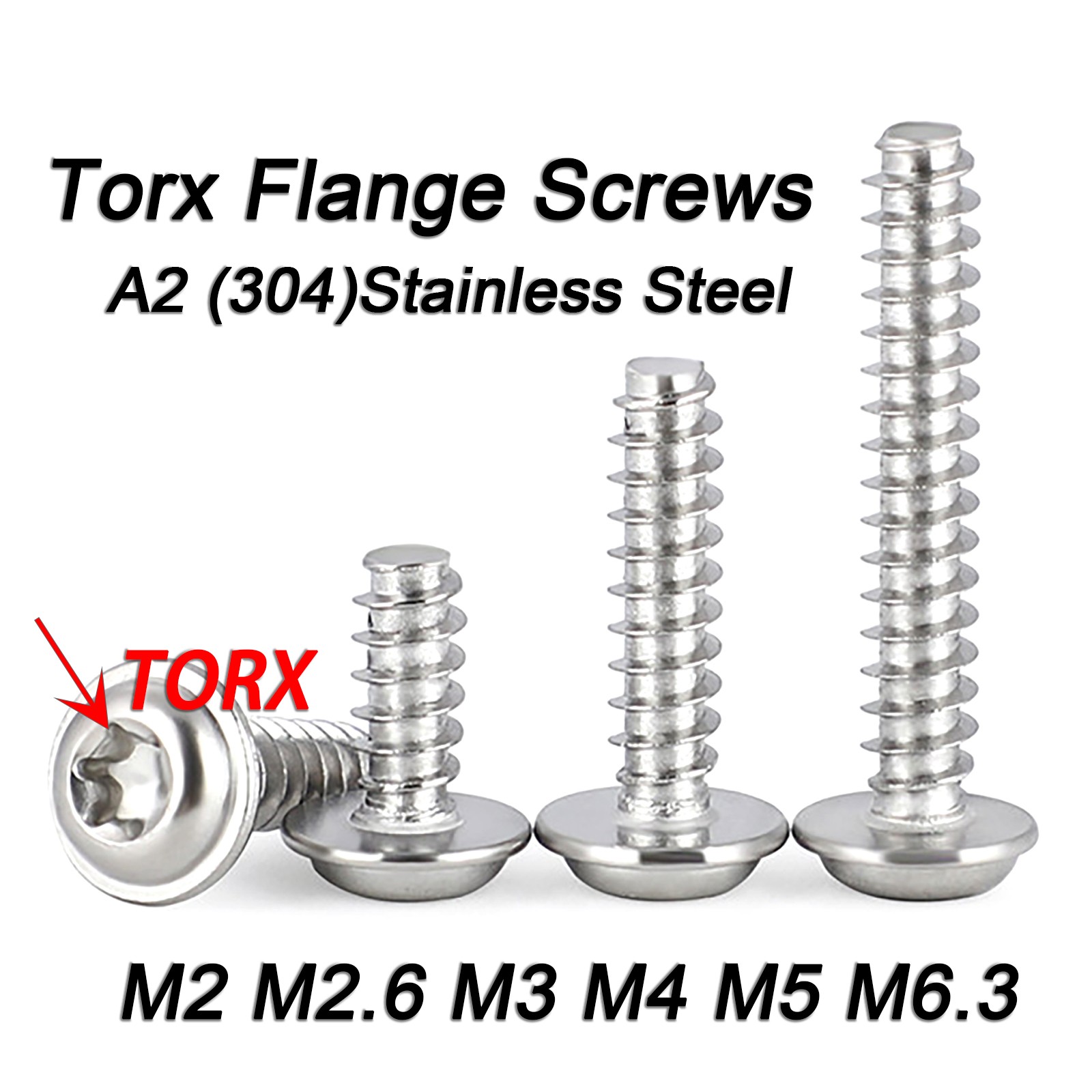 Torx Stainless Steel Self-Tapping Screws Flange Pan Head Panel/Body Screws TORX