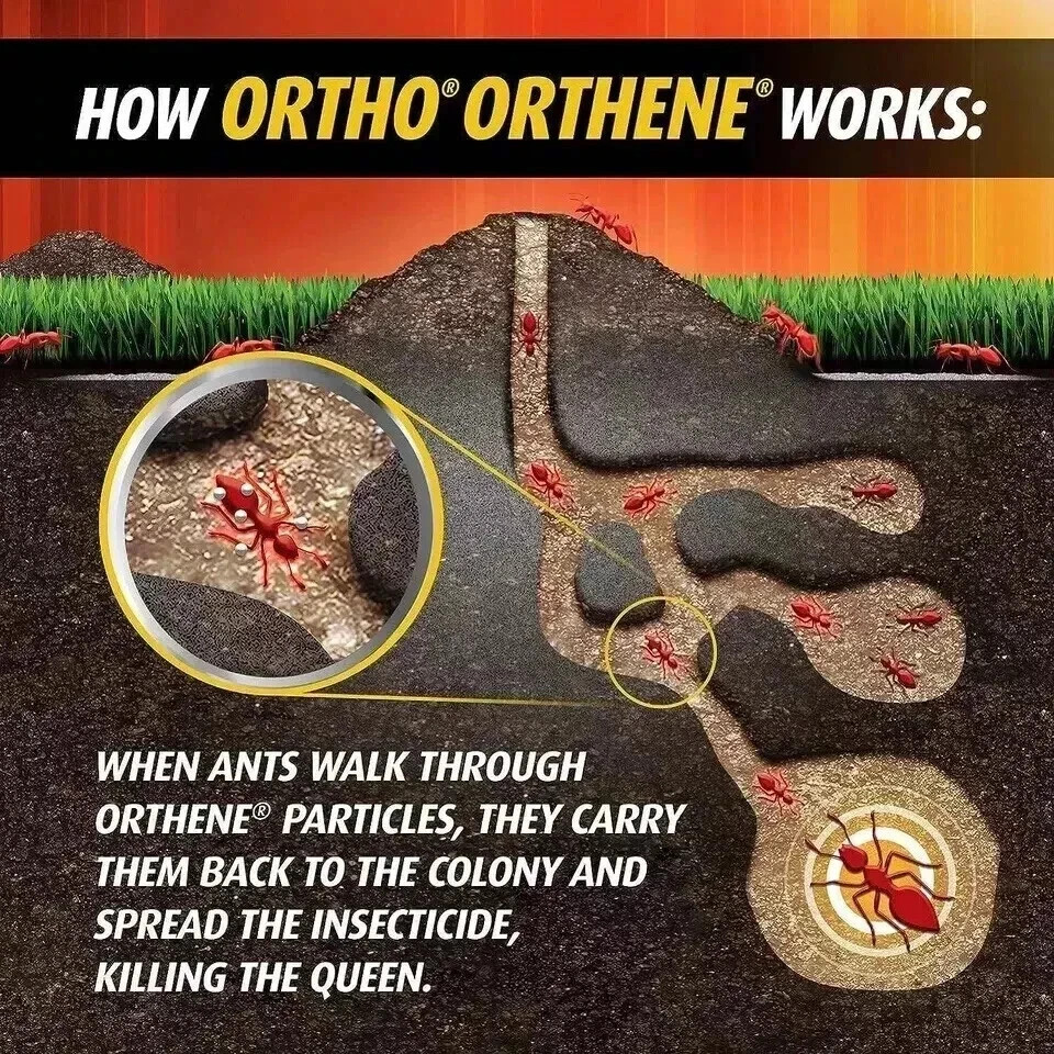 ORTHO Orthene Fire Ant Killer - 12oz (2 Pack) BEST SELLER-FAST SHIPPING