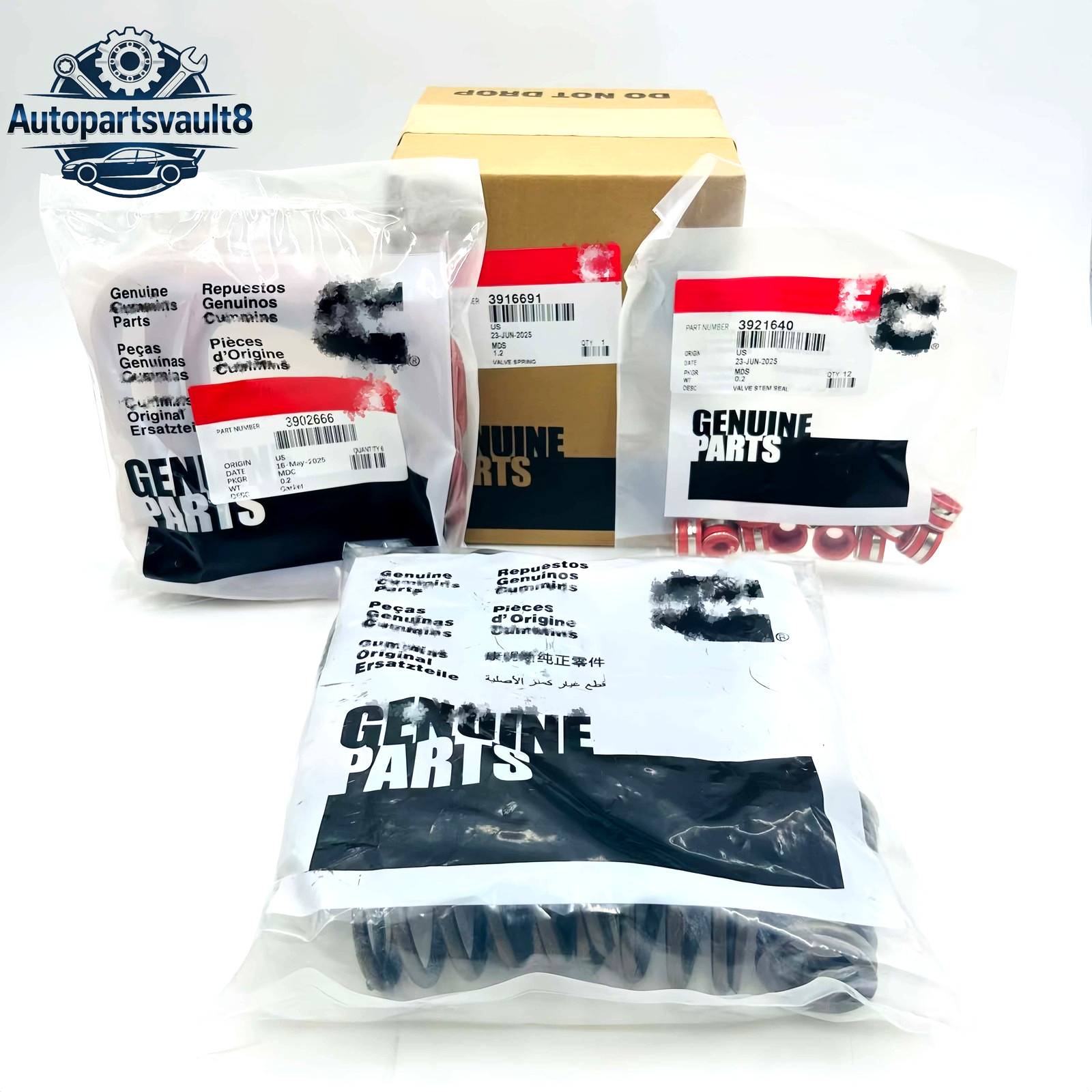New OEM 1989-1998 Set 12 High RPM Valve Springs Gaskets For Cummins 6BT 5.9 12V