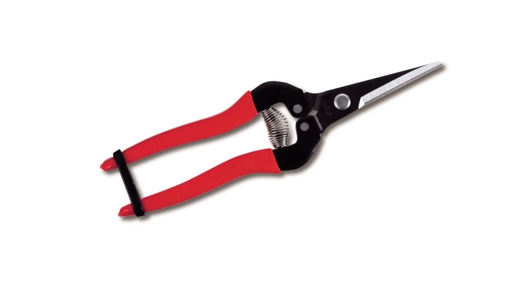 ARS HP-300L Needle Nose Fruit Pruners 190mm, Red