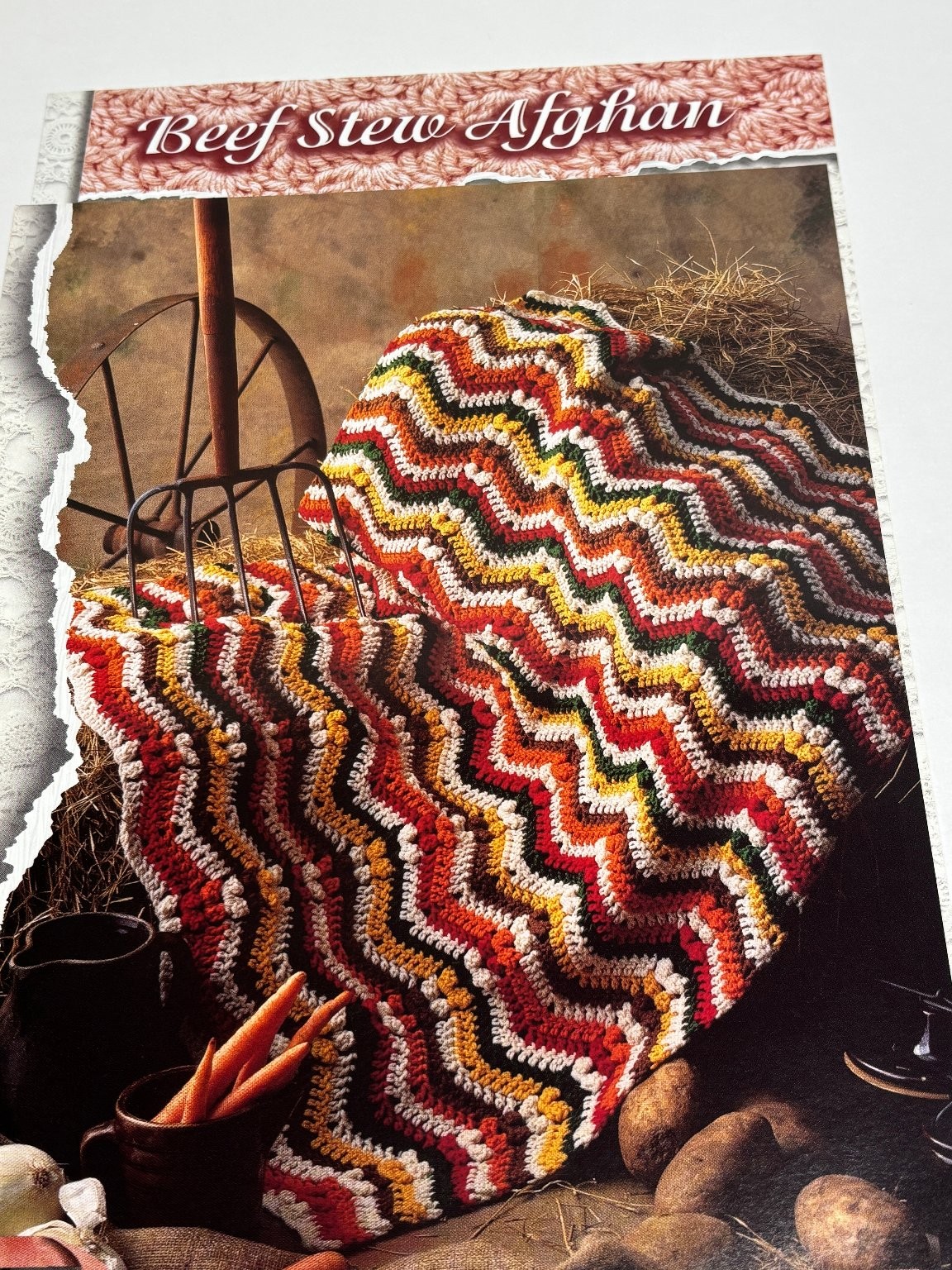 Beef Stew Afghan Crochet Pattern Worsted 44x60" Pages from Book