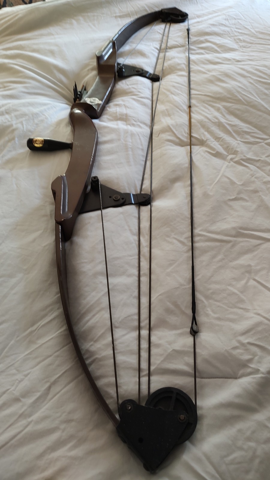 bear compound bow right hand EUC