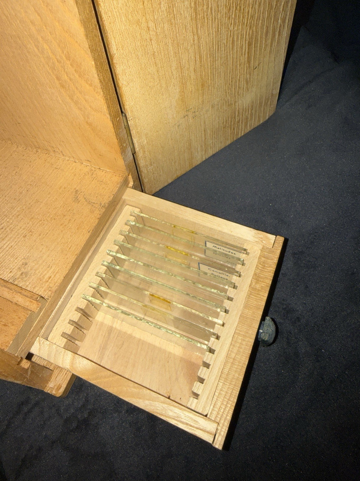 COC Microscope 100x 200x 300x
