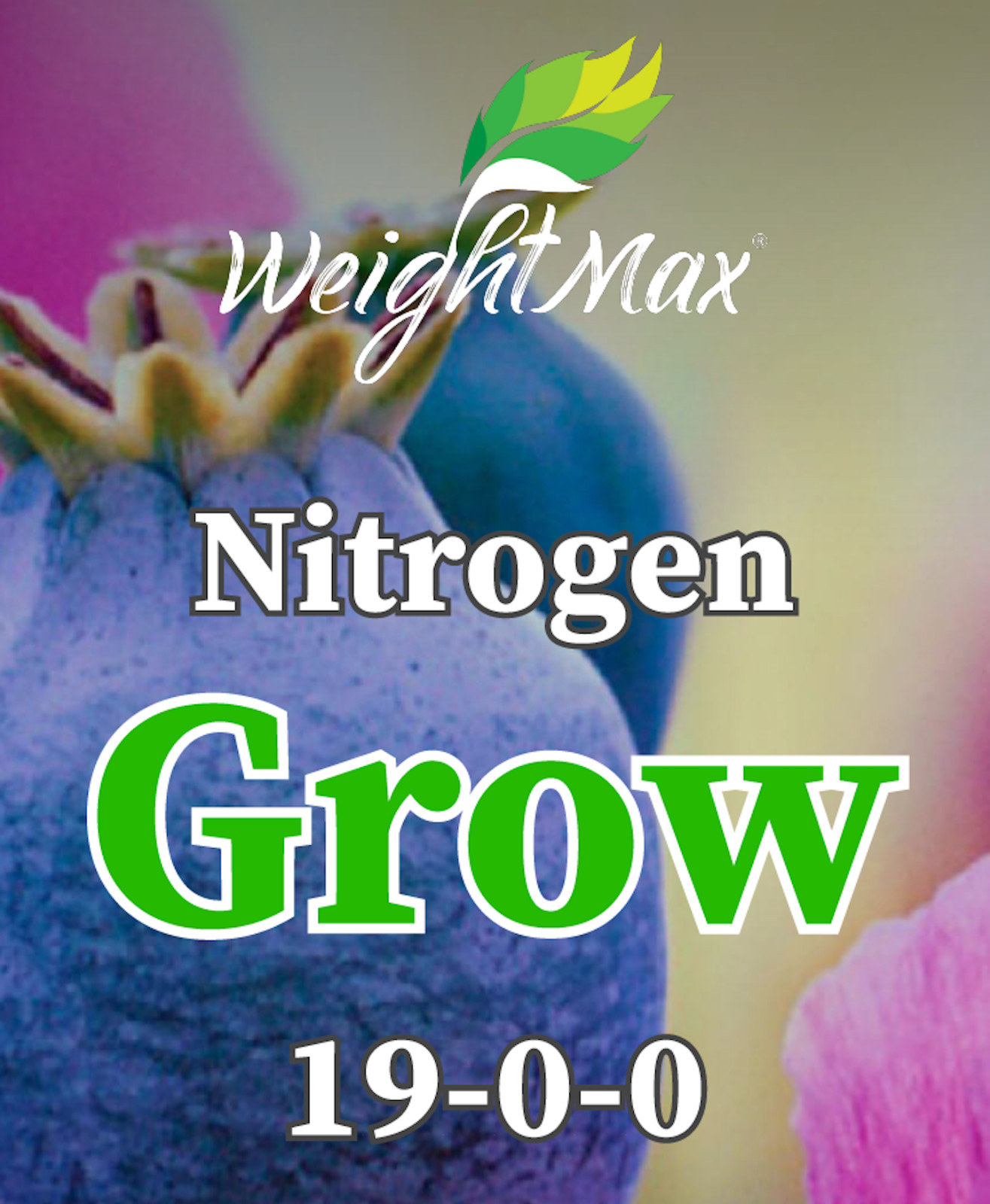 WeightMax Grow 19-0-0