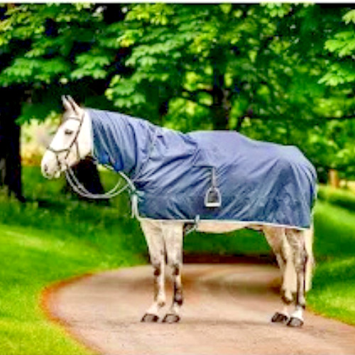 Full Body Riding Rain Sheet Size L/XL Blue Green Covers Horse & Saddle