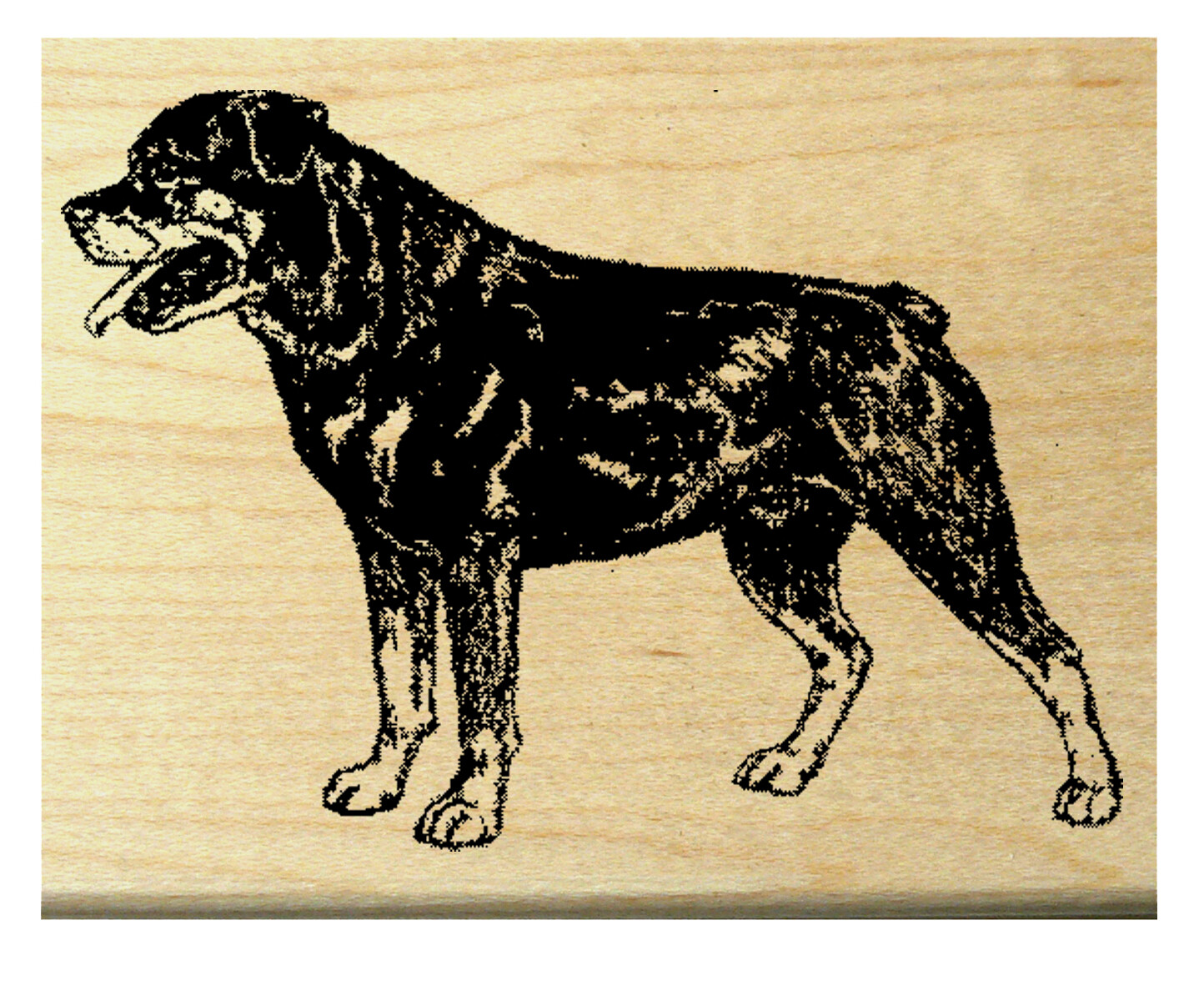 P29 Rottweiler Dog rubber stamp WM 2x1.3"
