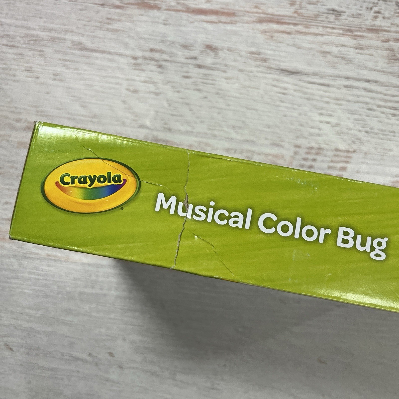 Crayola Musical Color Bug Drawing Coloring Crafts Kit
