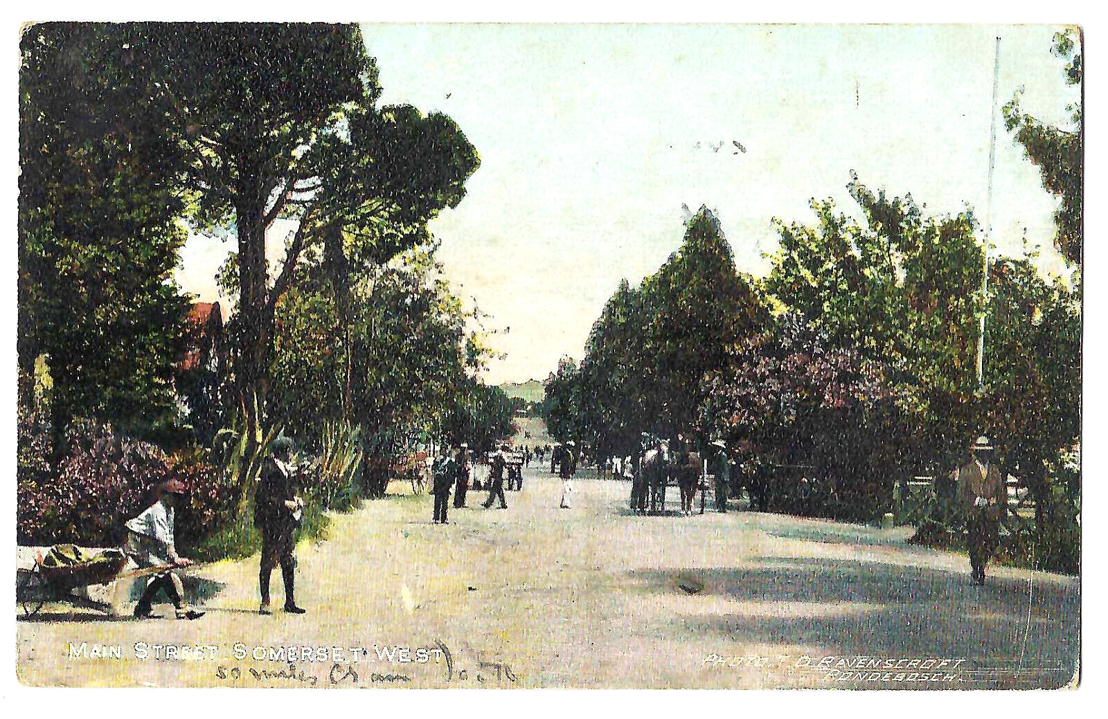 MAIN STREET, SOMERSET WEST C of G.H postcard