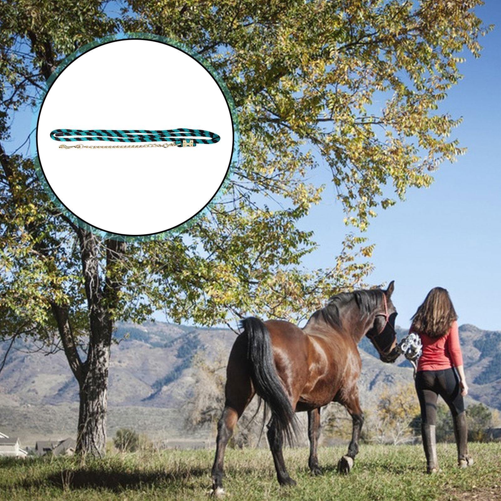 Horse Lead Rope with Quick Halter Attachment Stallion Leash Iron Chain