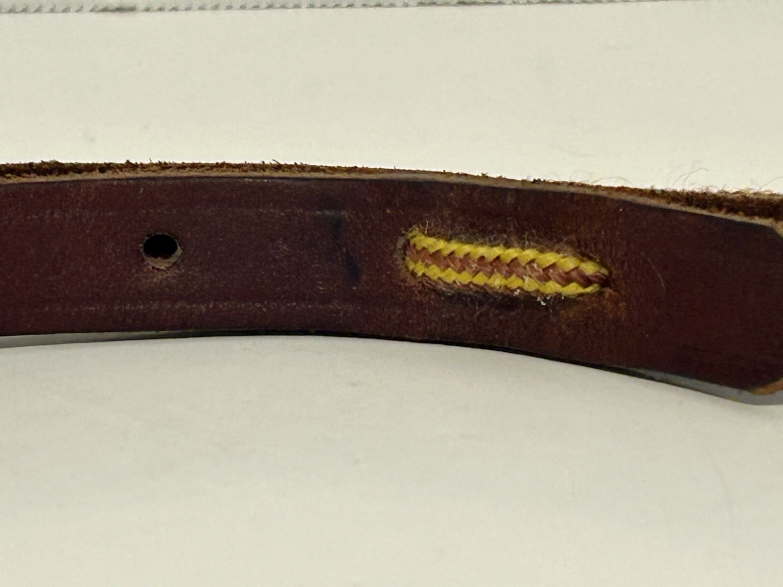 champion turf leather collar horse equestrian
