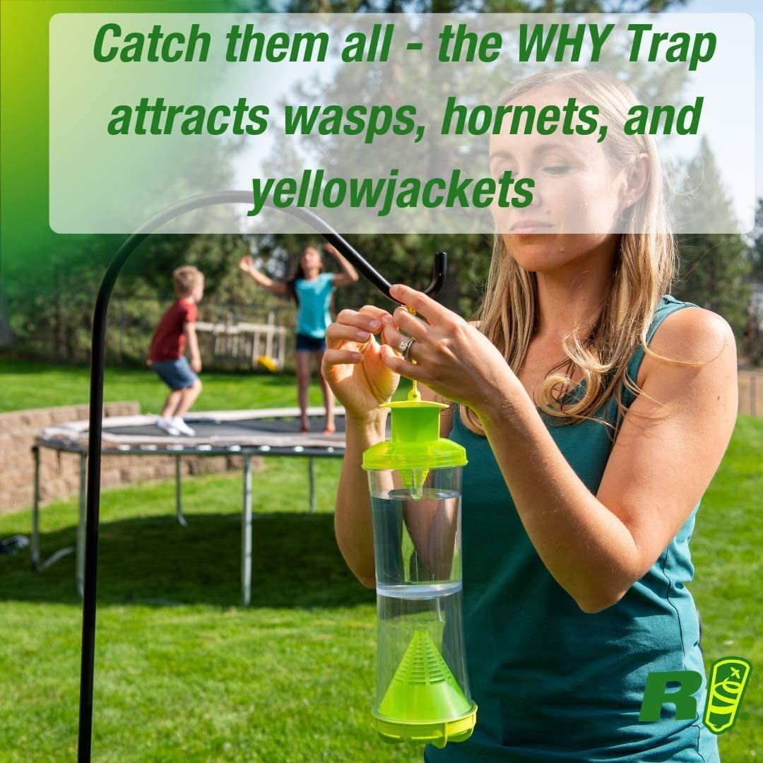 RESCUE! Non-Toxic Wasp, Hornet, Yellowjacket Trap (WHY Trap) Attractant...