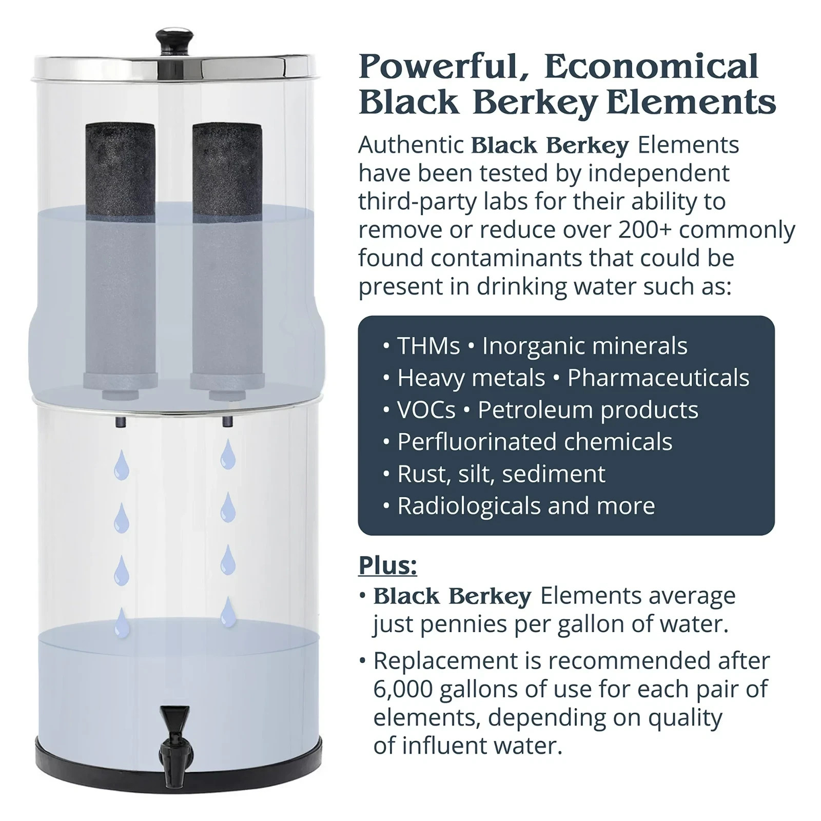 BB9-2 Black Berkey Water Filter Replacement Elements (2-Pack)