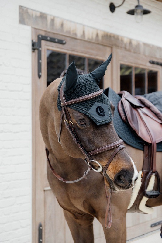 Dion Plaited Combo Bridle