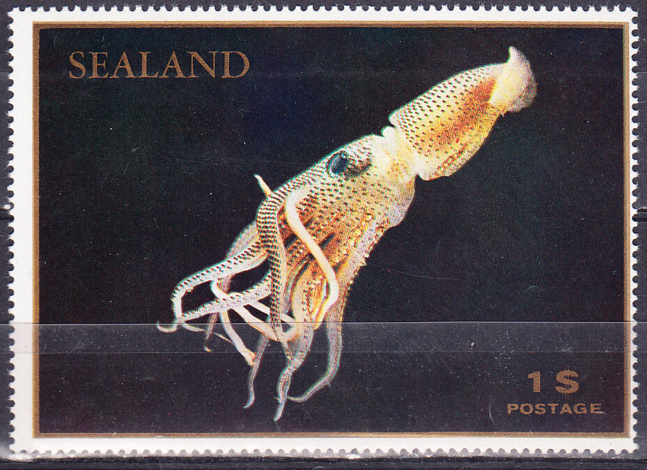 W SEALAND ST 05 NON POSTAL SQUID MARINE FAUNA PERFORATED STAMP