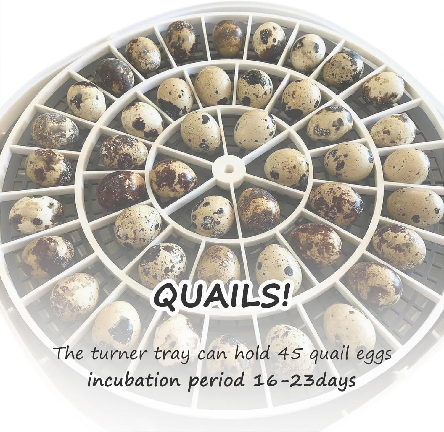 Resilient Egg Turner Tray Replacement for Consistent Hatching Success - Easy Use